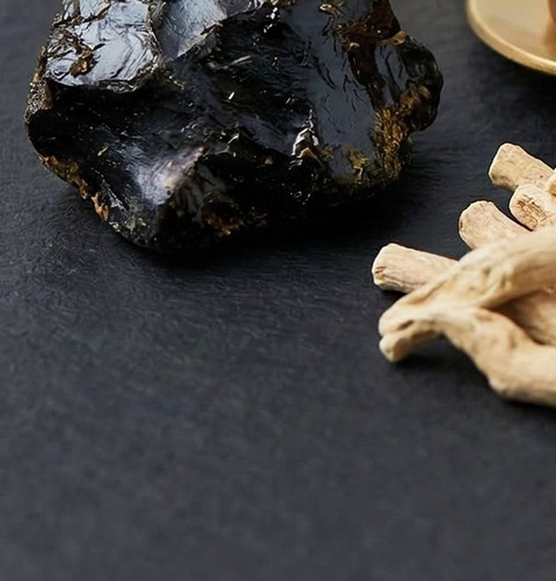 Pure Shilajit